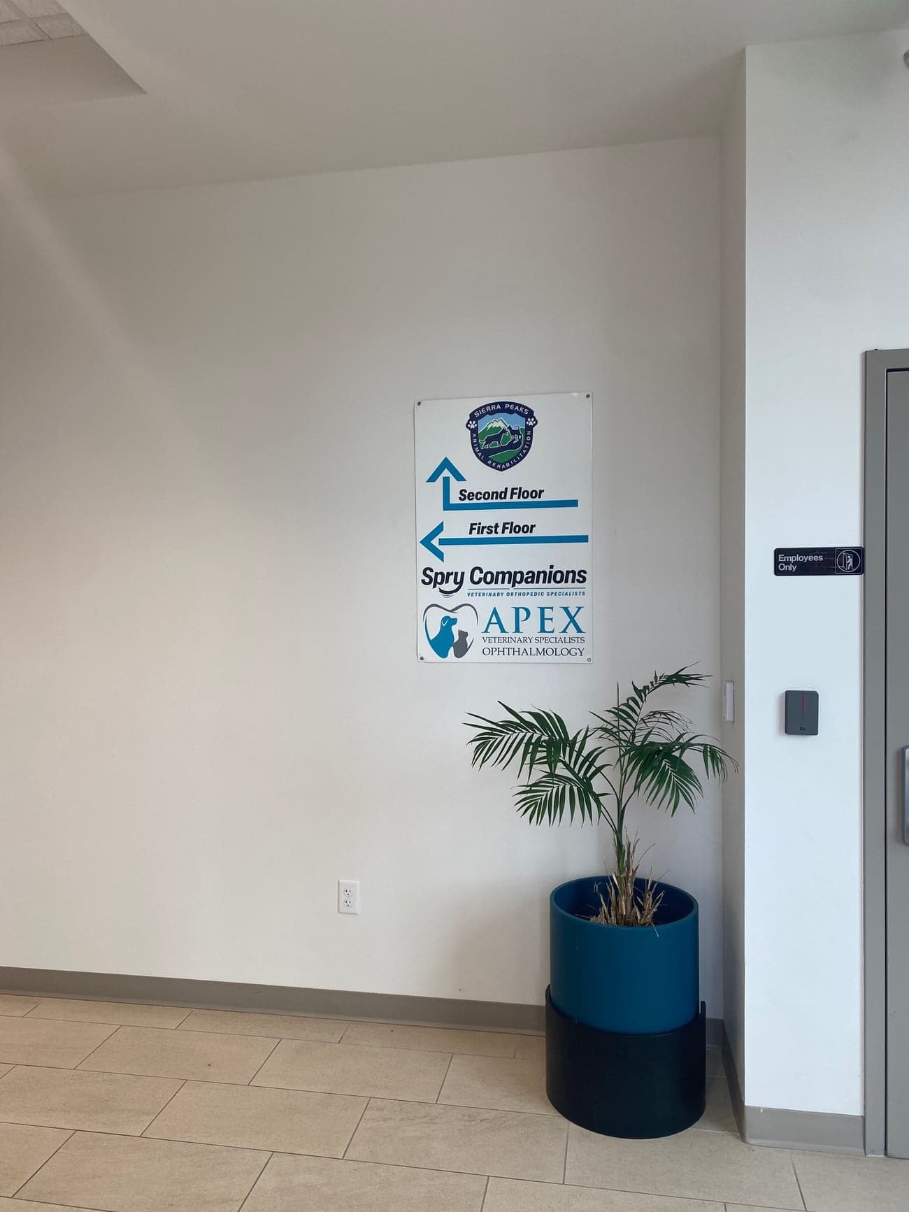 A white wall with a directional sign showing offices for Spry Companions and APEX Ophthalmology on the first floor and another office on the second floor. A potted plant sits below the sign.
